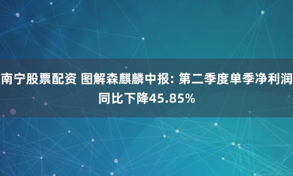 南宁股票配资 图解森麒麟中报: 第二季度单季净利润同比下降45.85%