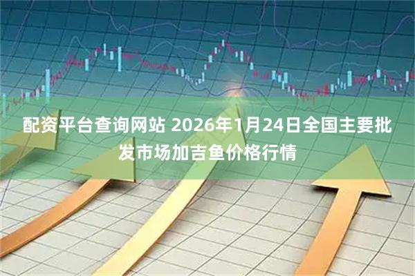 配资平台查询网站 2026年1月24日全国主要批发市场加吉鱼价格行情