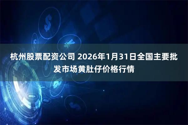 杭州股票配资公司 2026年1月31日全国主要批发市场黄肚仔价格行情