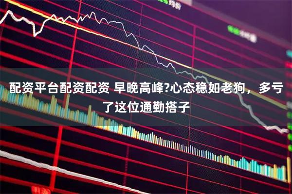 配资平台配资配资 早晚高峰?心态稳如老狗，多亏了这位通勤搭子