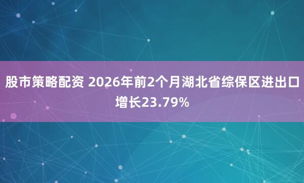 股市策略配资 2026年前2个月湖北省综保区进出口增长23.79%